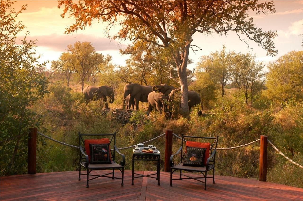 Hoyo Hoyo Safari Lodge Mluwati Concession Buitenkant foto