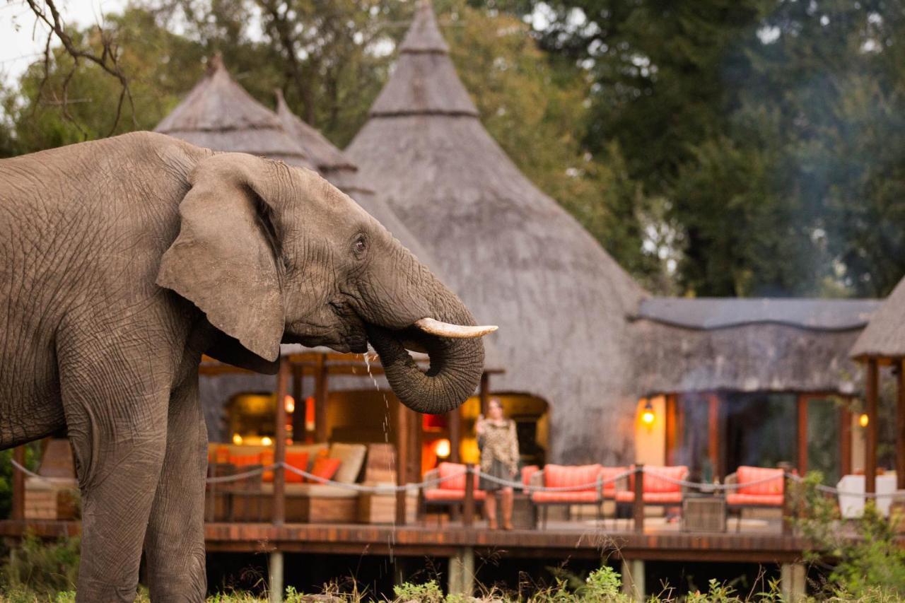 Hoyo Hoyo Safari Lodge Mluwati Concession Buitenkant foto